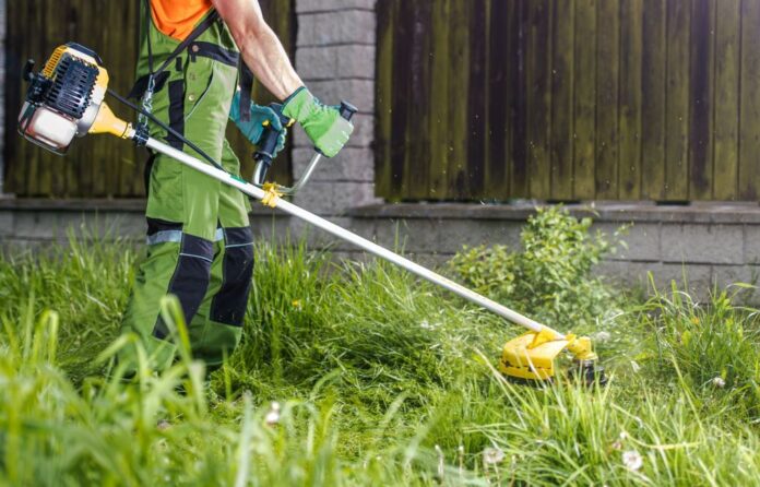 best weed eater reviews